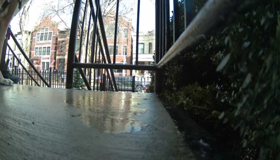 Reolink Camera Two_01_Reolink Home Hub One_20250206133551.jpg